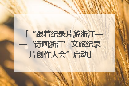 “跟着纪录片游浙江——‘诗画浙江’文旅纪录片创作大会”启动