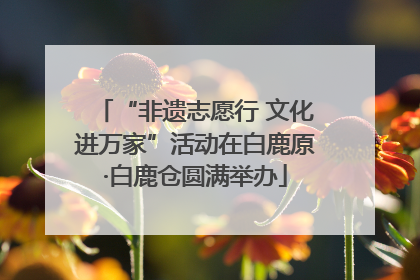 “非遗志愿行 文化进万家”活动在白鹿原·白鹿仓圆满举办