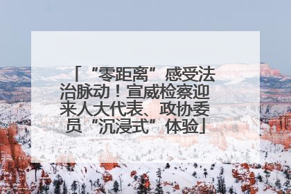 “零距离”感受法治脉动！宣威检察迎来人大代表、政协委员“沉浸式”体验