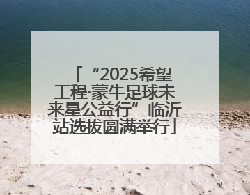 “2025希望工程·蒙牛足球未来星公益行”临沂站选拔圆满举行