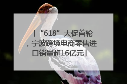 “618”大促首轮，宁波跨境电商零售进口销量超16亿元