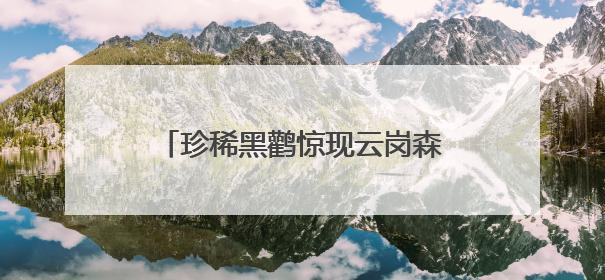 珍稀黑鹳惊现云岗森林公园！丰台这片宝地藏着多少惊喜？
