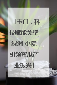 玉门：科技赋能戈壁绿洲 小院引领蜜瓜产业振兴