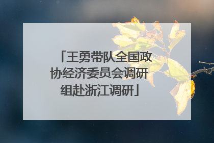 王勇带队全国政协经济委员会调研组赴浙江调研