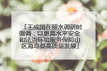 王成国在丽水调研时强调：以更高水平安全和法治环境服务保障山区海岛县高质量发展