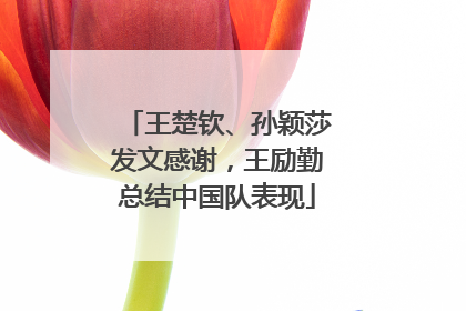王楚钦、孙颖莎发文感谢，王励勤总结中国队表现