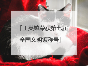 王英镇荣获第七届全国文明镇称号