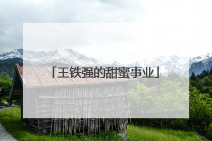 王铁强的甜蜜事业