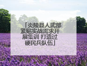 炎陵县人武部紧贴实战需求开展集训 打造过硬民兵队伍