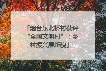 烟台东北桥村获评“全国文明村”：乡村振兴展新貌