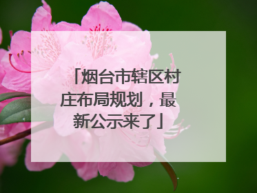 烟台市辖区村庄布局规划，最新公示来了