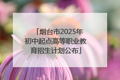 烟台市2025年初中起点高等职业教育招生计划公布