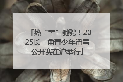 热“雪”驰骋！2025长三角青少年滑雪公开赛在沪举行