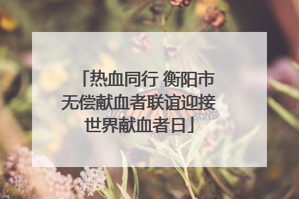 热血同行 衡阳市无偿献血者联谊迎接世界献血者日
