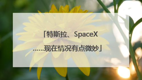 特斯拉、SpaceX……现在情况有点微妙