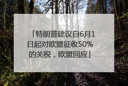 特朗普建议自6月1日起对欧盟征收50%的关税，欧盟回应
