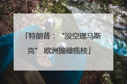 特朗普：“没空理马斯克” 欧洲抛橄榄枝