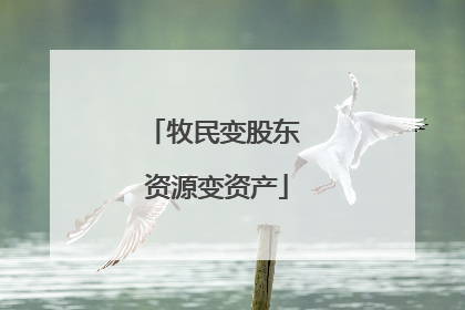 牧民变股东 资源变资产