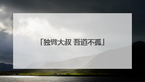 独臂大叔 吾道不孤