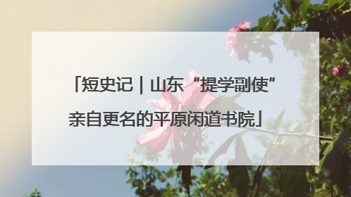短史记｜山东“提学副使”亲自更名的平原闲道书院