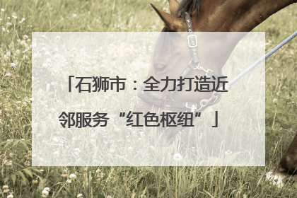 石狮市：全力打造近邻服务“红色枢纽”