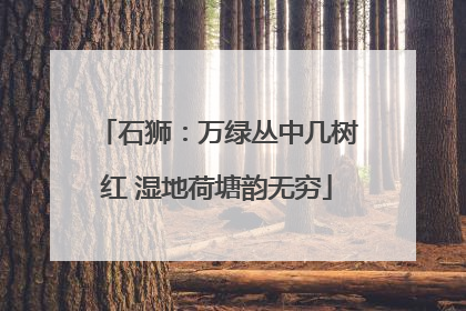 石狮：万绿丛中几树红 湿地荷塘韵无穷