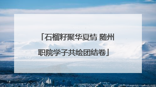 石榴籽聚华夏情 随州职院学子共绘团结卷