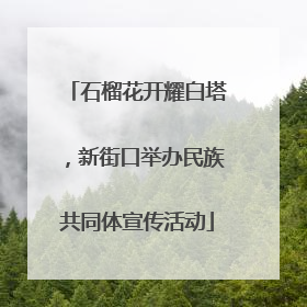 石榴花开耀白塔，新街口举办民族共同体宣传活动