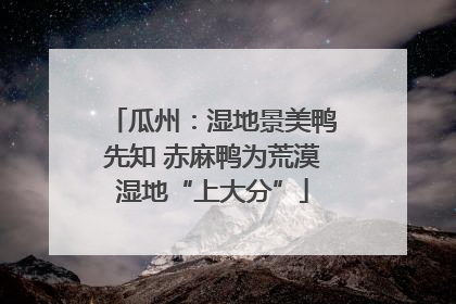 瓜州：湿地景美鸭先知 赤麻鸭为荒漠湿地“上大分”