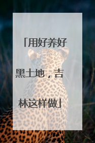 用好养好黑土地，吉林这样做
