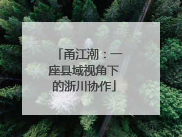 甬江潮：一座县域视角下的浙川协作