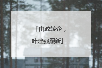由政转企，叶建强履新
