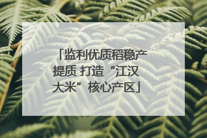 监利优质稻稳产提质 打造“江汉大米”核心产区