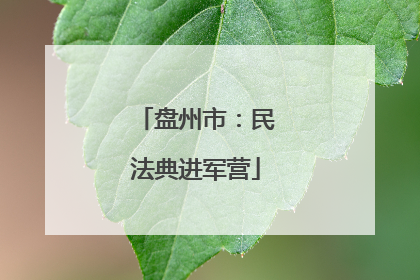 盘州市：民法典进军营