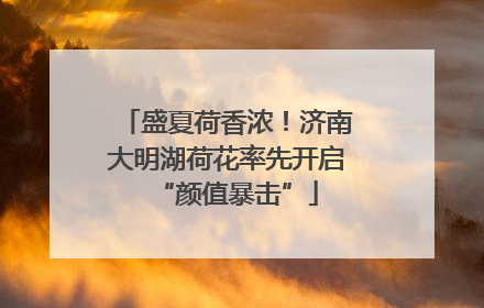 盛夏荷香浓！济南大明湖荷花率先开启“颜值暴击”