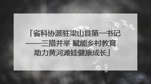 省科协派驻梁山县第一书记——三措并举 赋能乡村教育 助力黄河滩娃健康成长