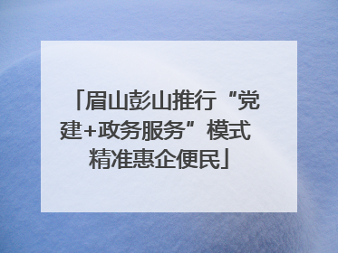 眉山彭山推行“党建+政务服务”模式 精准惠企便民