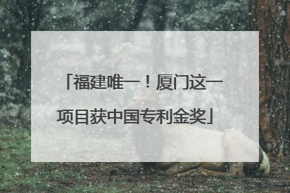 福建唯一！厦门这一项目获中国专利金奖