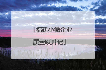 福建小微企业质量跃升记