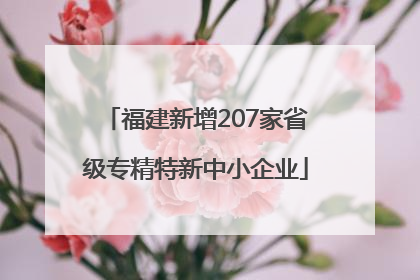 福建新增207家省级专精特新中小企业