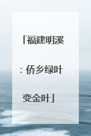 福建明溪：侨乡绿叶变金叶
