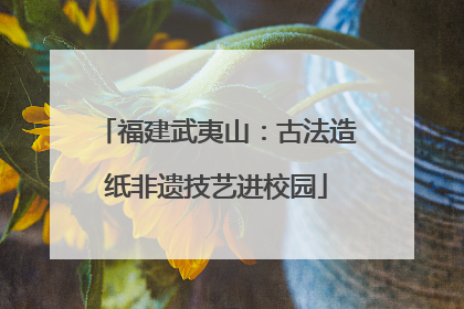 福建武夷山：古法造纸非遗技艺进校园
