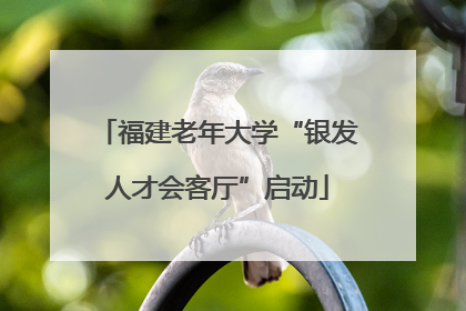 福建老年大学“银发人才会客厅”启动