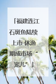 福建连江石斑鱼陆续上市 休渔期成市场“宠儿”