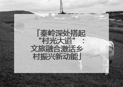 秦岭深处搭起“村光大道”：文旅融合激活乡村振兴新动能