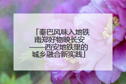 秦巴风味入地铁 南郑好物映长安——西安地铁里的城乡融合新实践