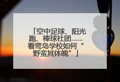 空中足球、阳光跑、棒球社团……看鹭岛学校如何“野蛮其体魄”