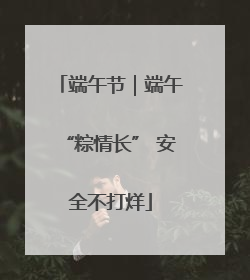 端午节｜端午“粽情长” 安全不打烊