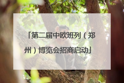 第二届中欧班列（郑州）博览会招商启动