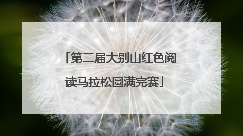 第二届大别山红色阅读马拉松圆满完赛